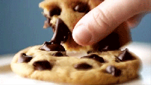 cookie gif